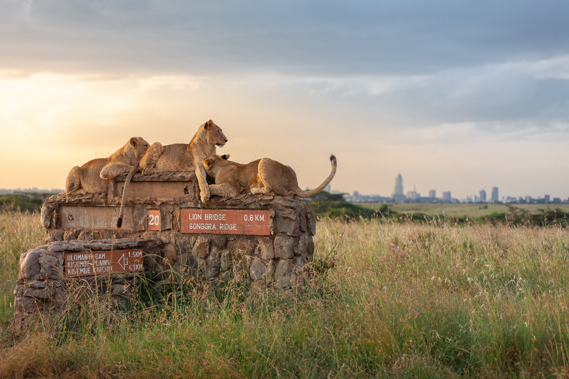 Nairobi National Park