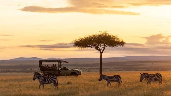 Kenya Introduces Mandatory Travel Insurance for Foreign Visitors